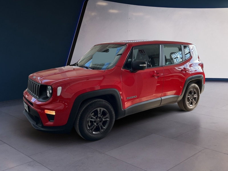 Jeep Renegade usata a Torino (3)
