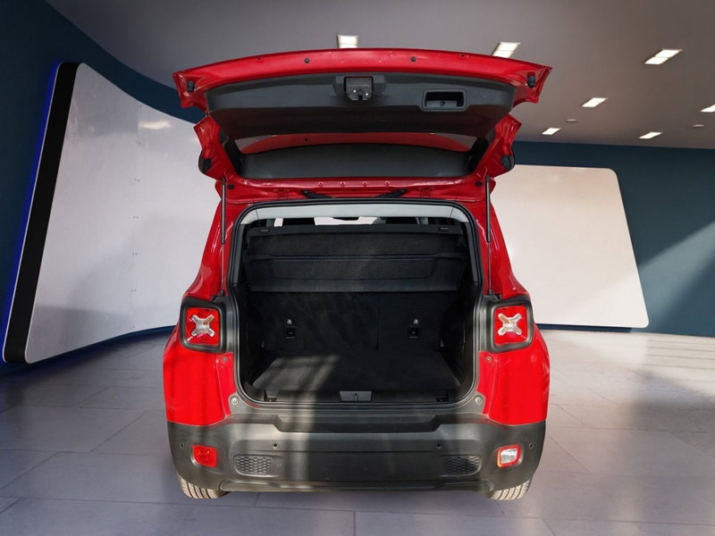 Jeep Renegade usata a Torino (8)