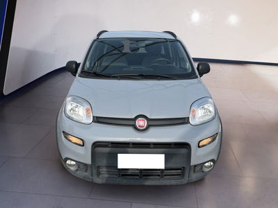Fiat Panda 1.0 FireFly S&amp;S Hybrid City Cross del 2022 usata a Torino