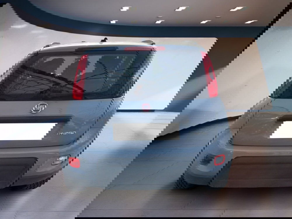 Fiat Panda usata a Torino (5)