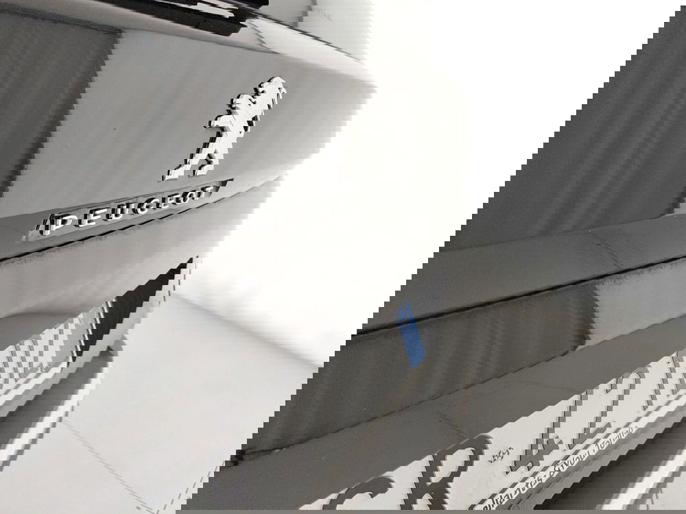 Peugeot 3008 usata a Caserta (10)