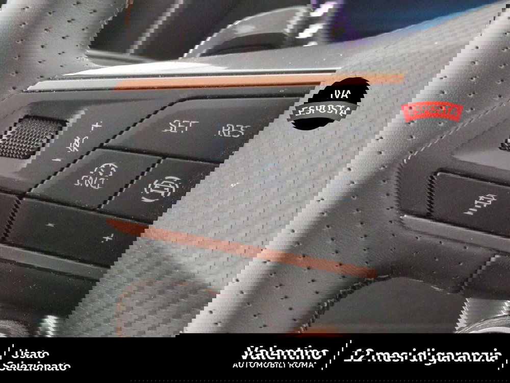 Cupra Formentor usata a Roma (15)