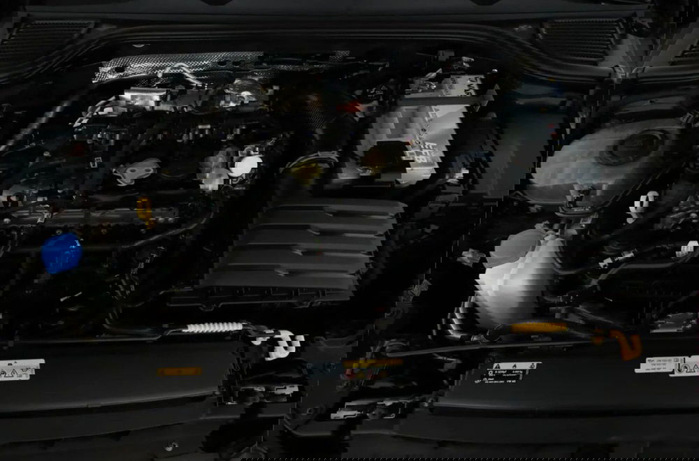 Volkswagen Golf usata a Padova (14)