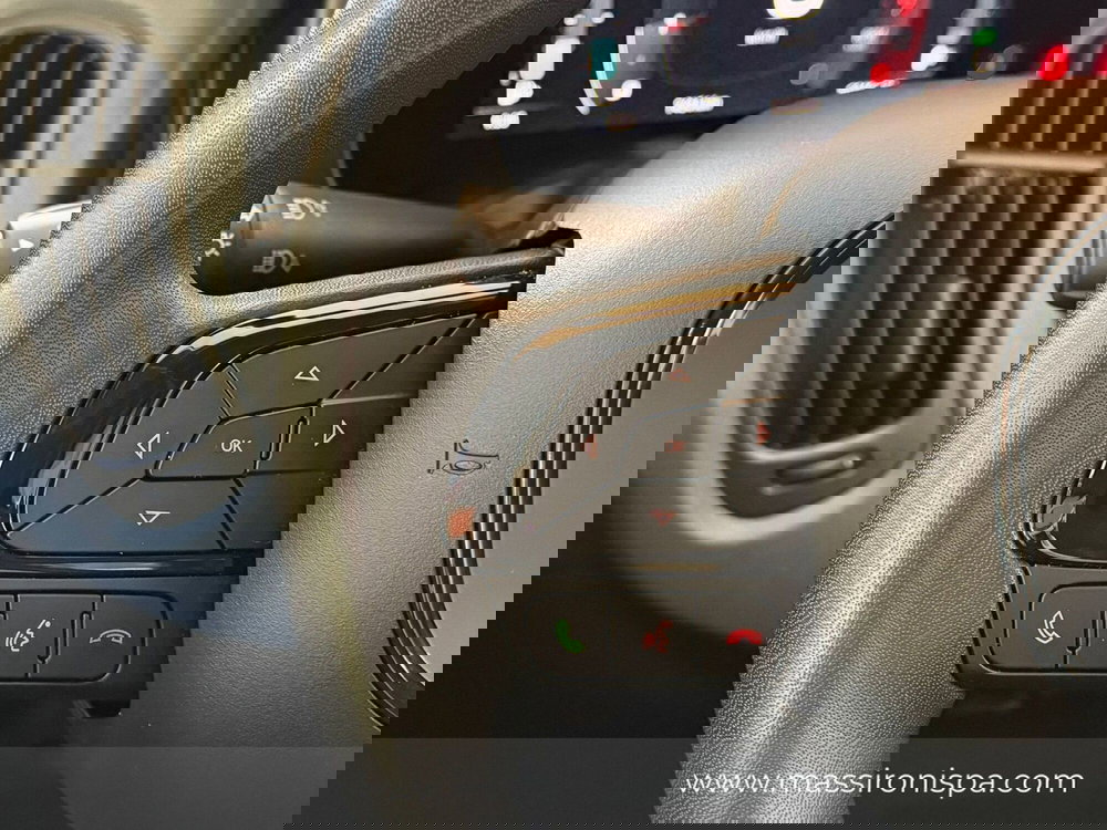 Fiat Panda Cross usata a Milano (10)