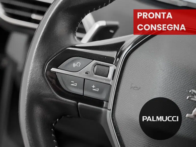 Peugeot 3008 usata a Prato (11)