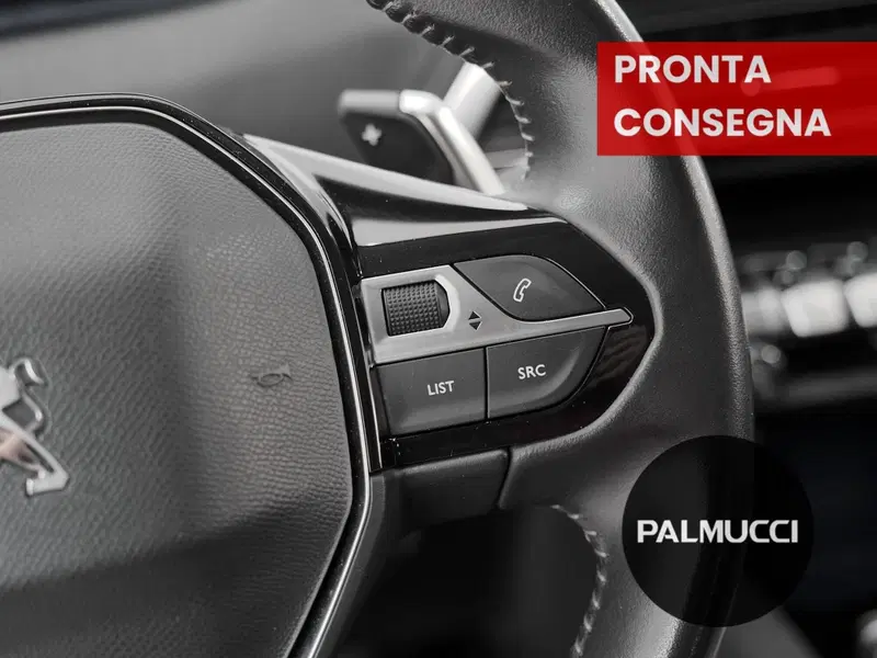 Peugeot 3008 usata a Prato (17)