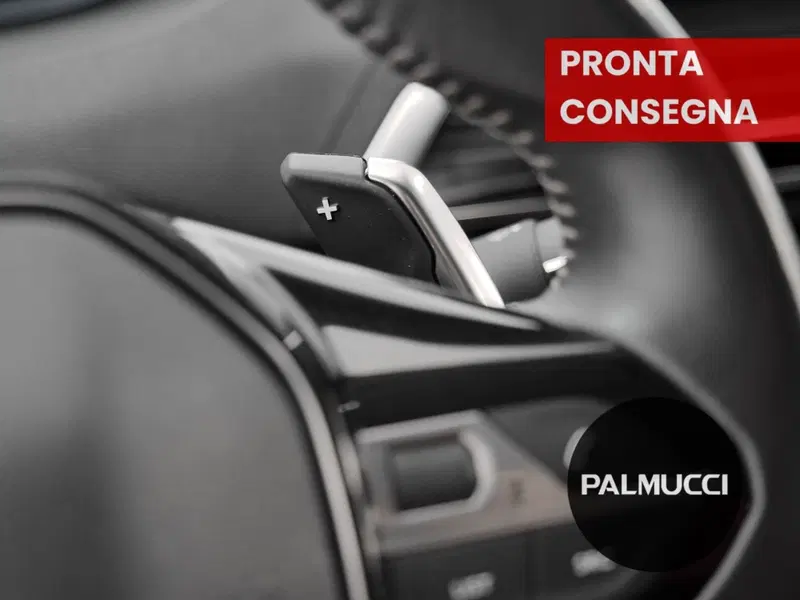 Peugeot 3008 usata a Prato (19)
