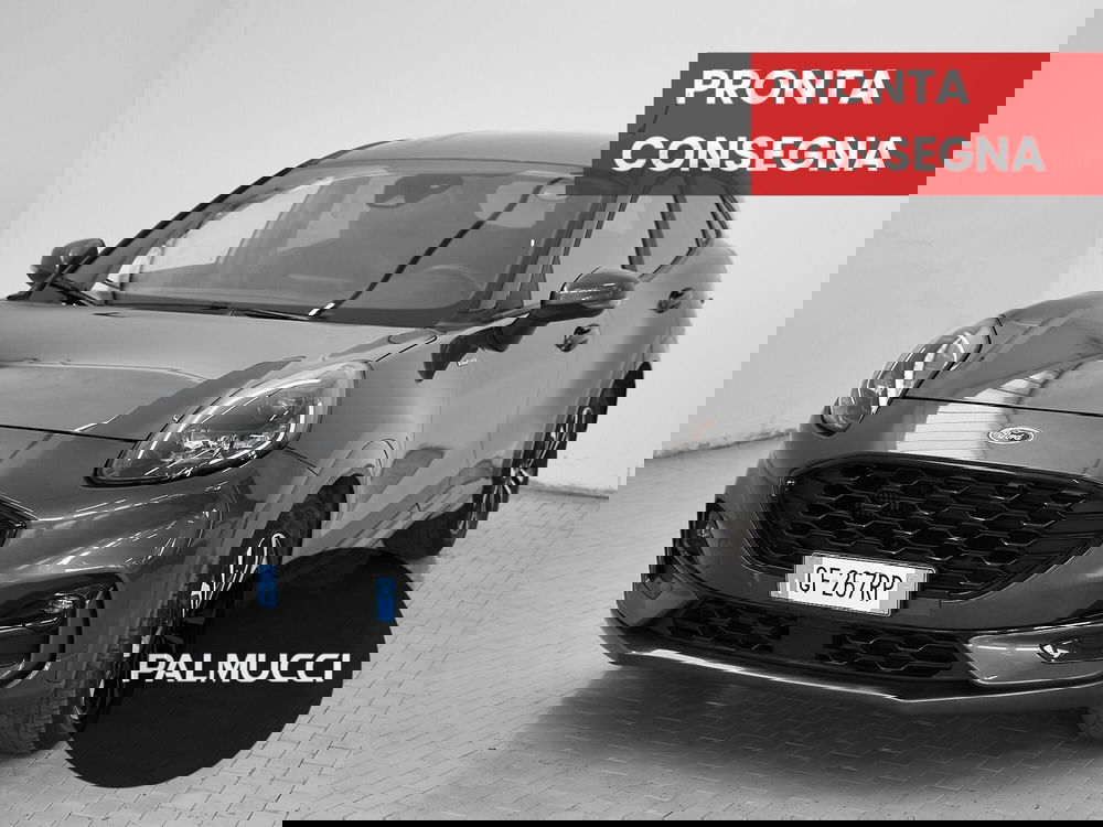 Ford Puma usata a Prato