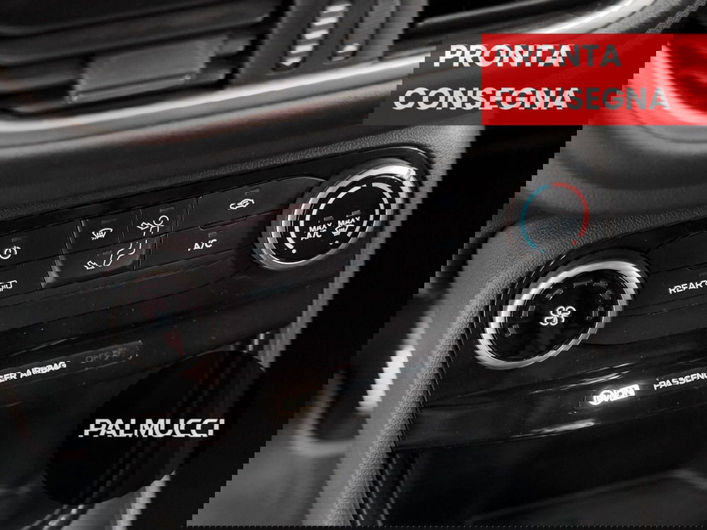 Ford Puma usata a Prato (12)