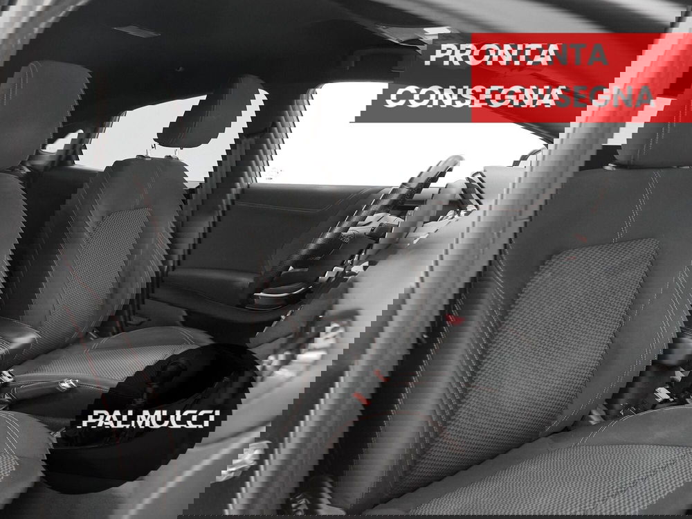 Ford Puma usata a Prato (17)