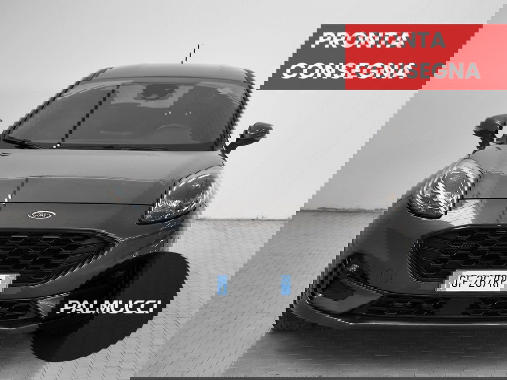 Ford Puma usata a Prato (2)