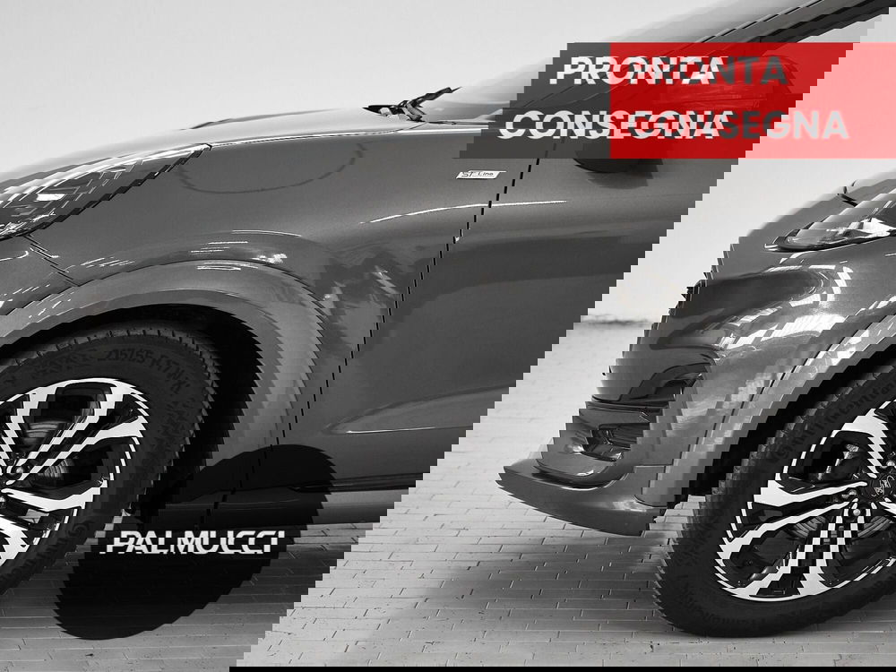 Ford Puma usata a Prato (6)