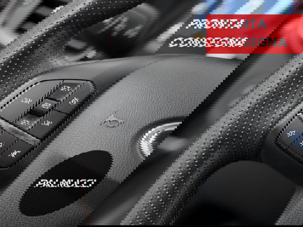 Ford Puma usata a Prato (7)