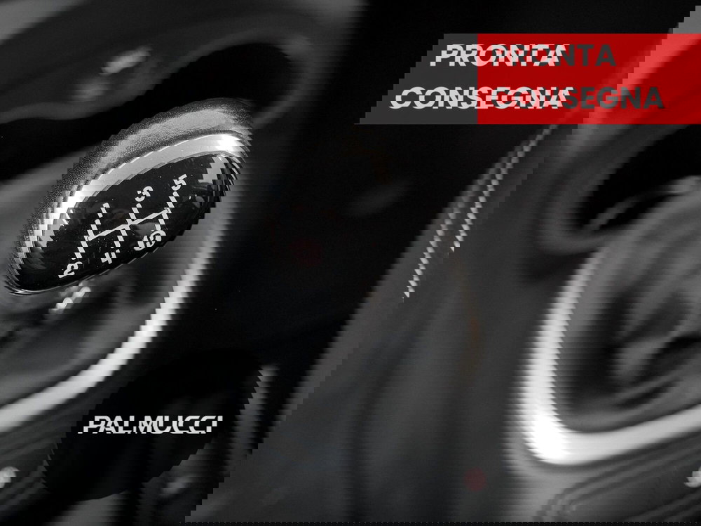 Fiat 500L usata a Prato (13)