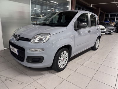 Fiat Panda 1.2 Lounge del 2020 usata a Messina
