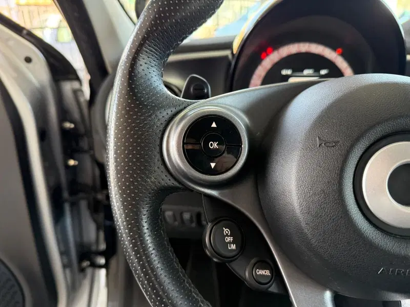 smart forfour usata a Brescia (13)