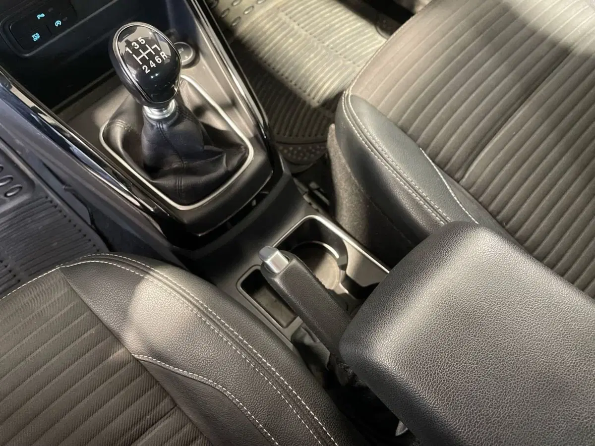 Ford EcoSport usata a Firenze (18)