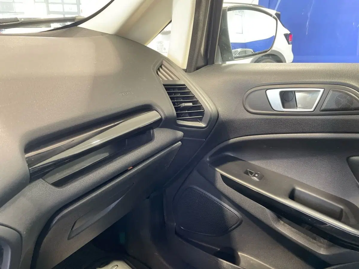 Ford EcoSport usata a Firenze (19)