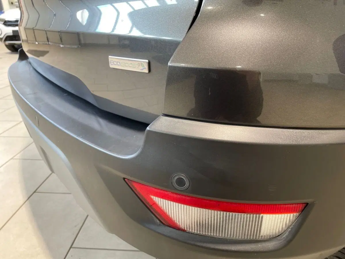 Ford EcoSport usata a Firenze (20)