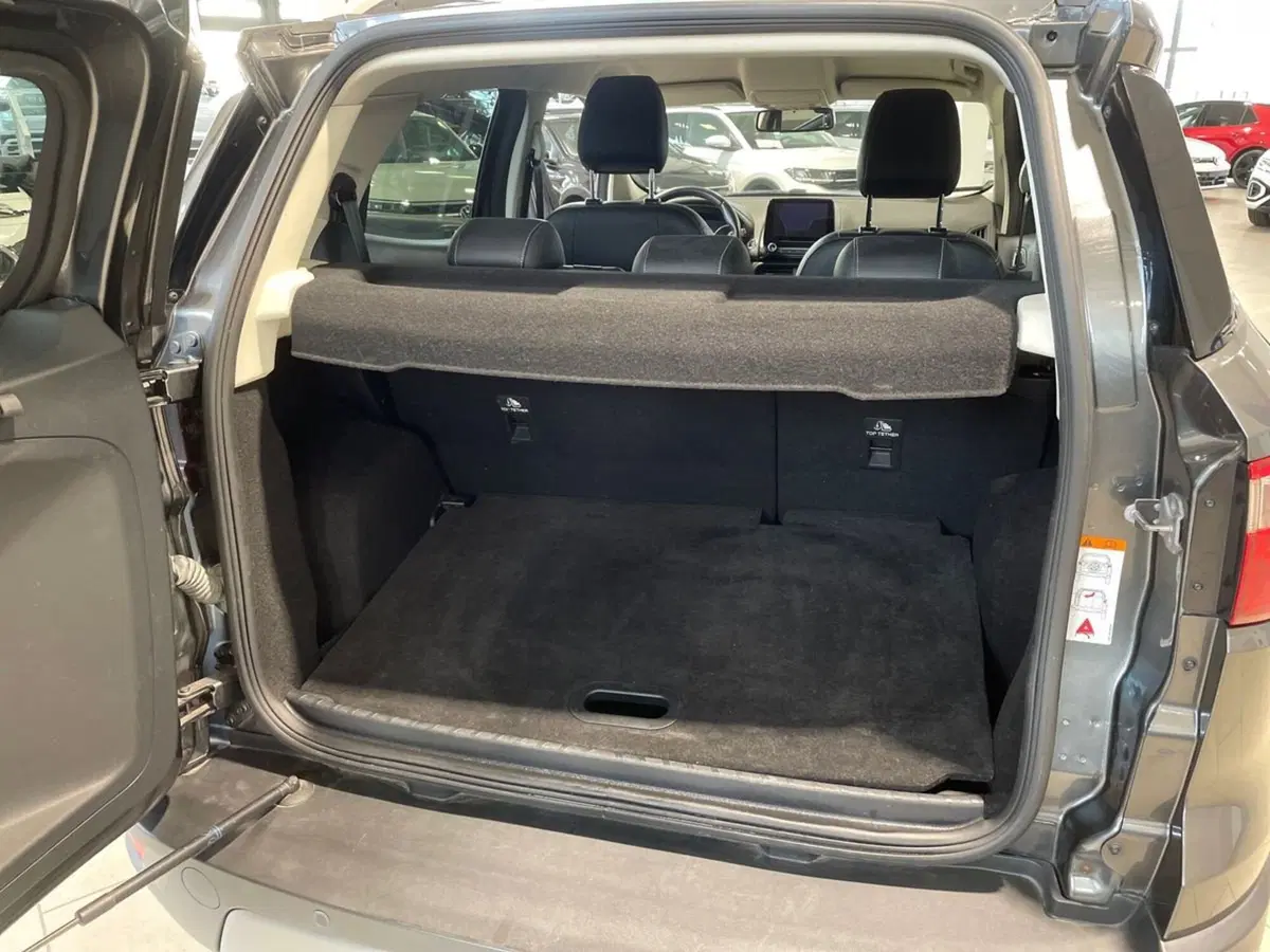 Ford EcoSport usata a Firenze (8)