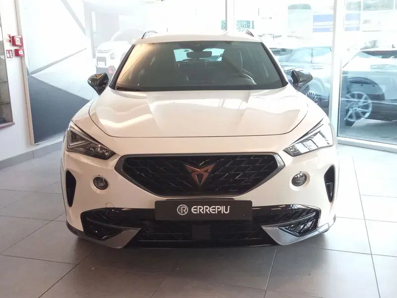 Cupra Formentor usata a Rimini (10)