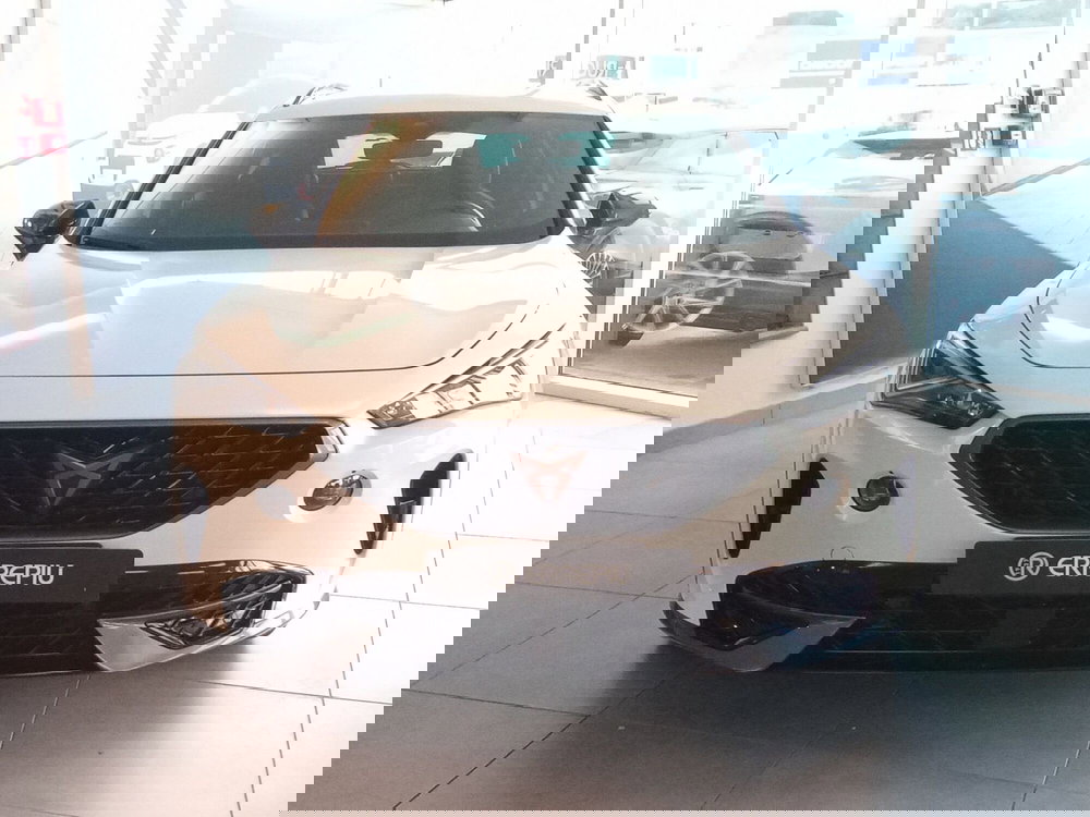 Cupra Formentor usata a Rimini (10)