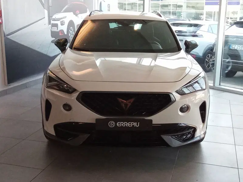 Cupra Formentor usata a Rimini (13)