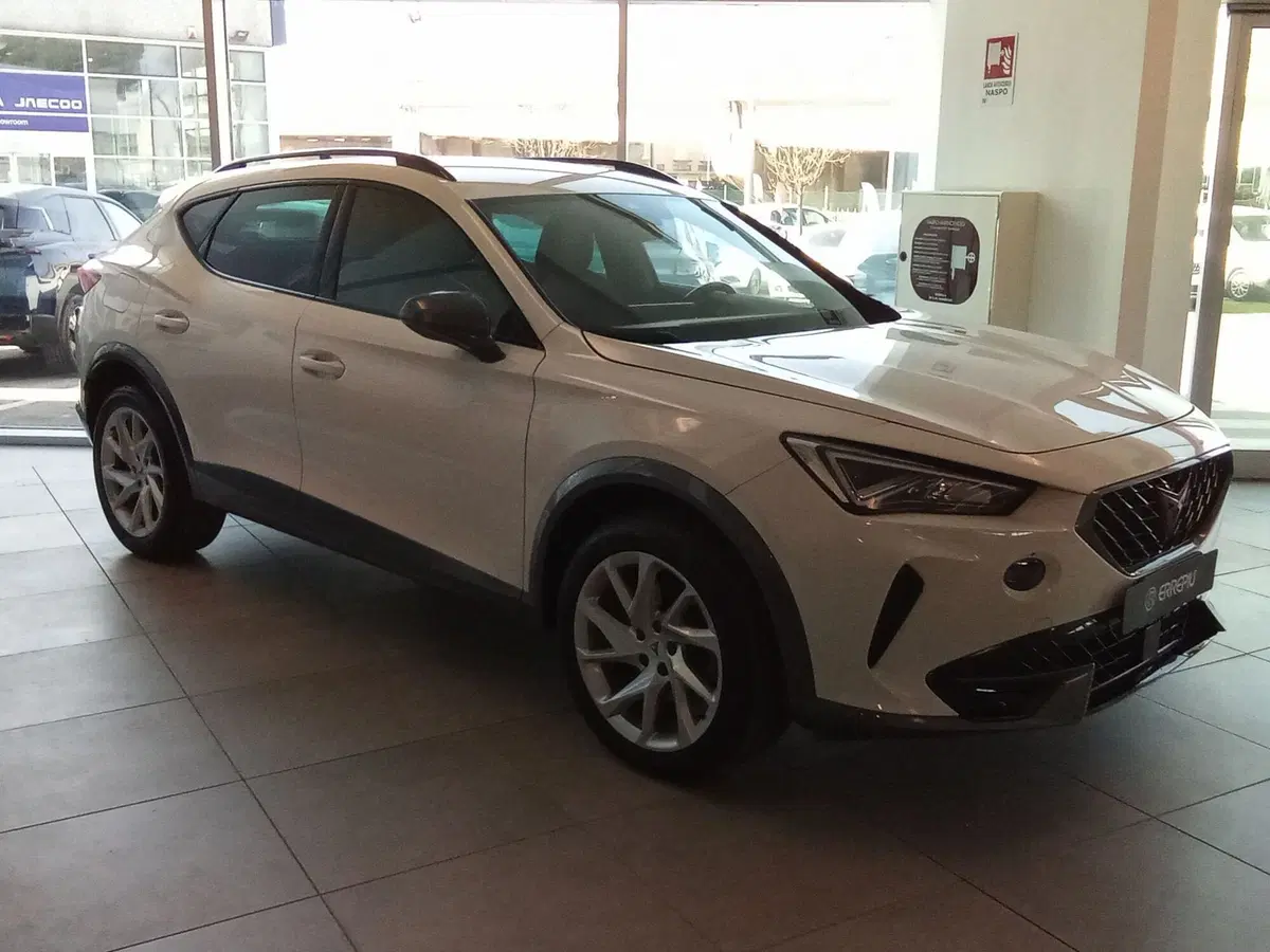 Cupra Formentor usata a Rimini (14)