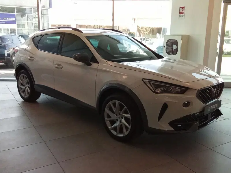 Cupra Formentor usata a Rimini (14)