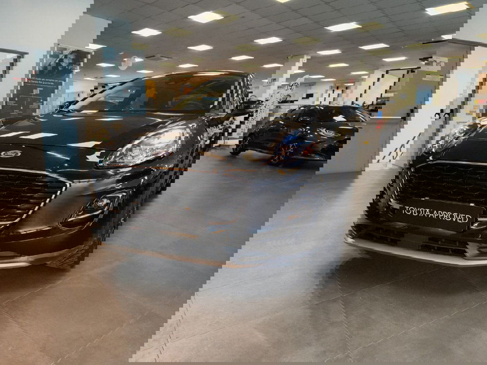 Ford Puma usata a Catanzaro (11)