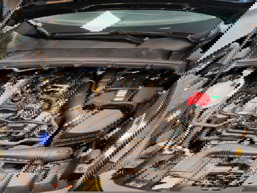 Ford Puma usata a Catanzaro (13)