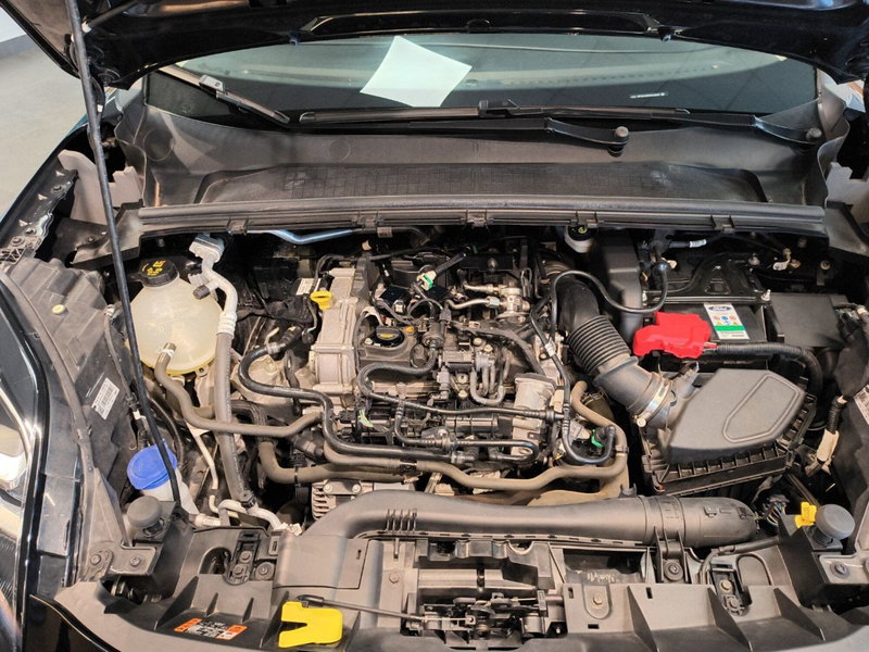Ford Puma usata a Catanzaro (13)