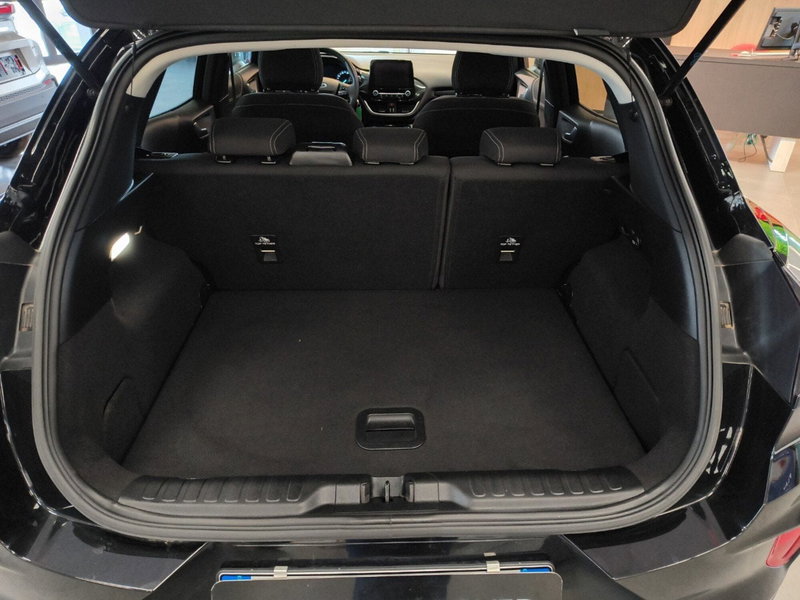 Ford Puma usata a Catanzaro (14)
