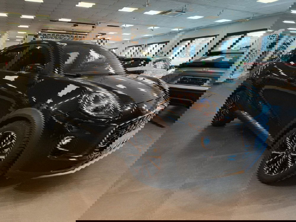 Ford Puma usata a Catanzaro (8)