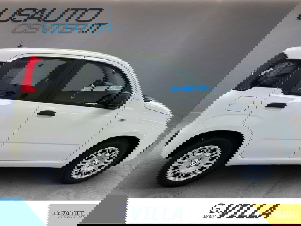 Fiat Panda usata a Monza e Brianza (3)