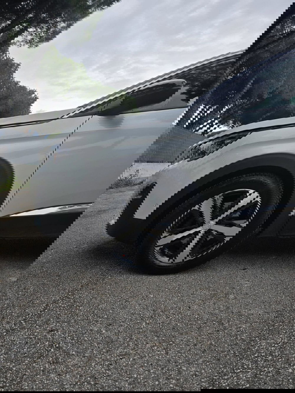 Peugeot 3008 usata a Massa-Carrara (20)