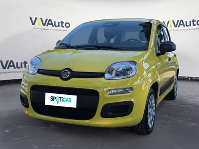 Fiat Panda 1.0 firefly hybrid Pop s&amp;s 70cv del 2025 usata a Massa