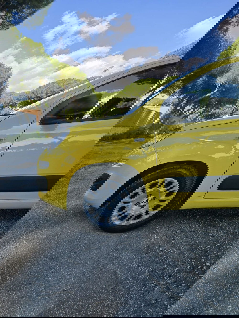 Fiat Panda usata a Massa-Carrara (15)