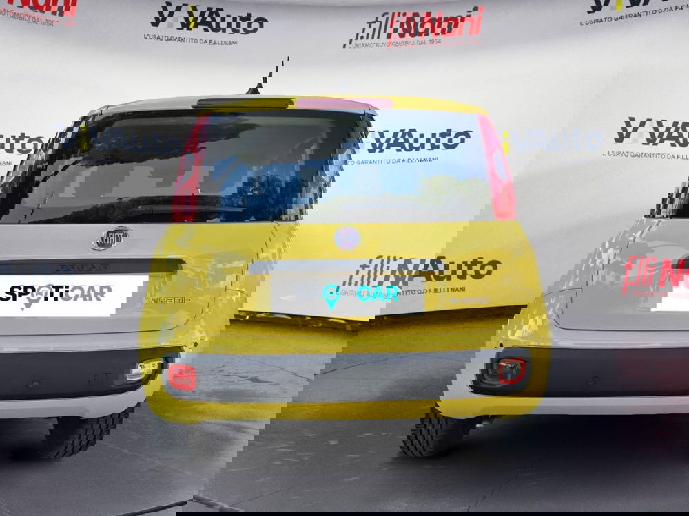 Fiat Panda usata a Massa-Carrara (4)