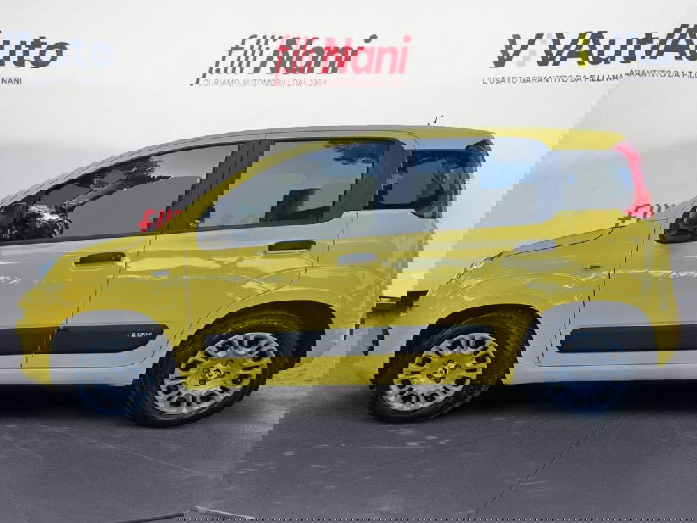 Fiat Panda usata a Massa-Carrara (7)