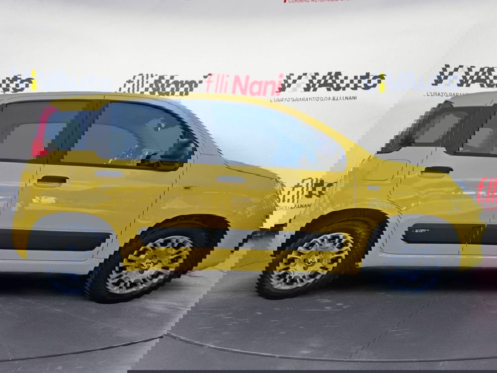 Fiat Panda usata a Massa-Carrara (8)