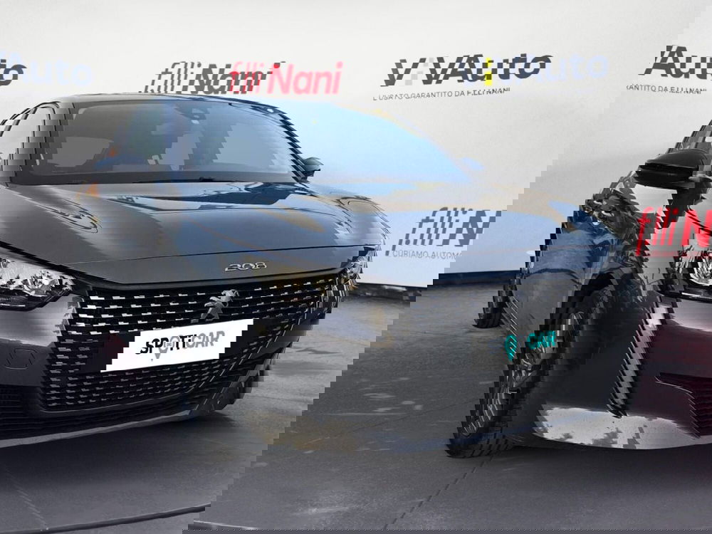 Peugeot 208 usata a Massa-Carrara (15)