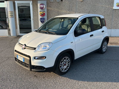 Fiat Panda Cross Cross 1.0 FireFly S&amp;S Hybrid del 2022 usata a Verdello
