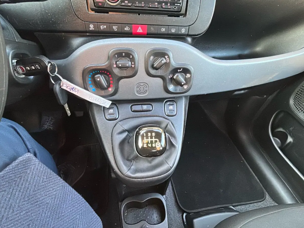 Fiat Panda Cross usata a Bergamo (14)