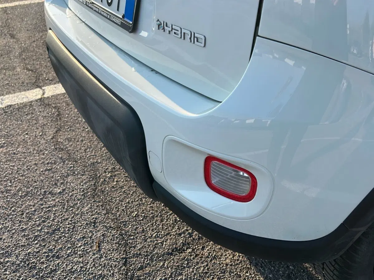 Fiat Panda Cross usata a Bergamo (18)