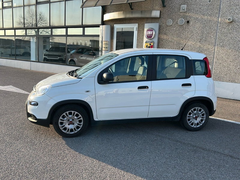Fiat Panda Cross usata a Bergamo (2)