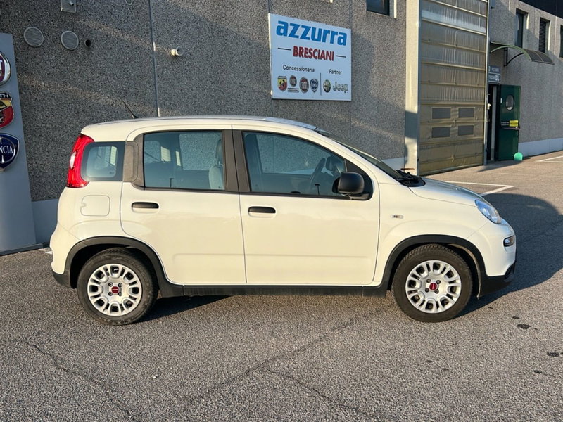 Fiat Panda Cross usata a Bergamo (6)