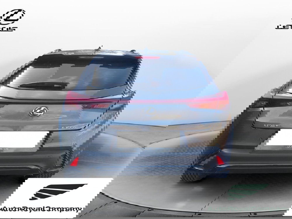 Lexus UX usata a Roma (4)