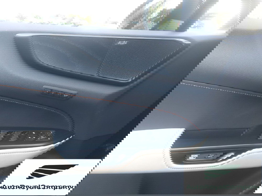 Lexus NX usata a Roma (17)