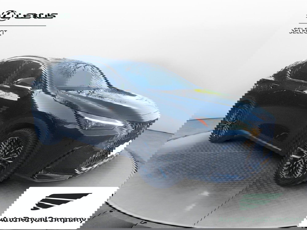 Lexus NX usata a Roma (7)